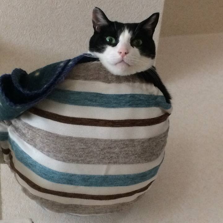 8f8e4fe0 3375 4a1d 8f2e 7d93bd577f76