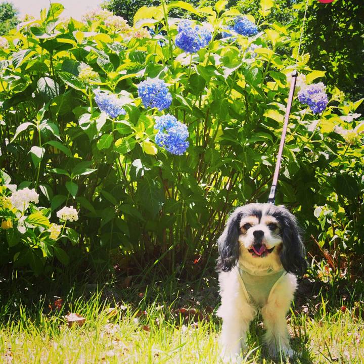 8f8eee5c e1ec 46eb 8cca 64a66eaf9f9b