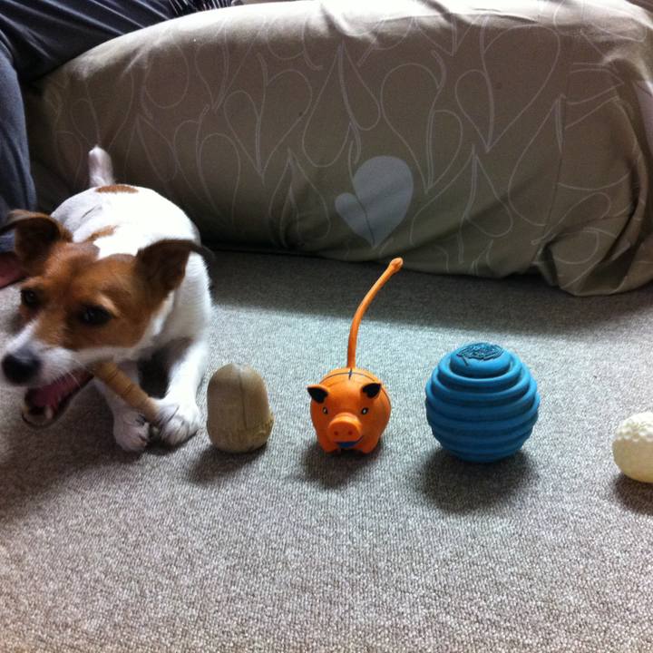 8f8fd34b 0422 4f48 a3a9 837c59f15007