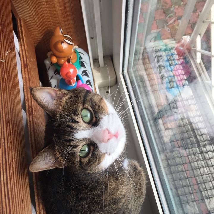 8f90b65c e7b3 42c5 8963 400cf40ccba6