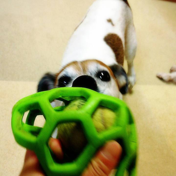 8f90d583 3a88 4143 a019 f35ff9cb66d8