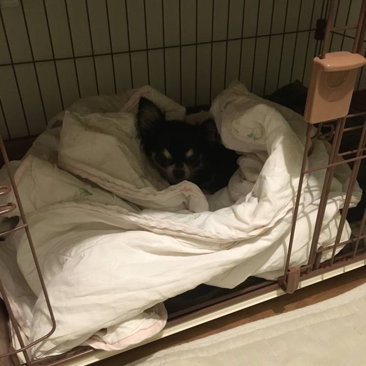 8f90d5bf 3ee1 4365 9ac5 620503e0500c