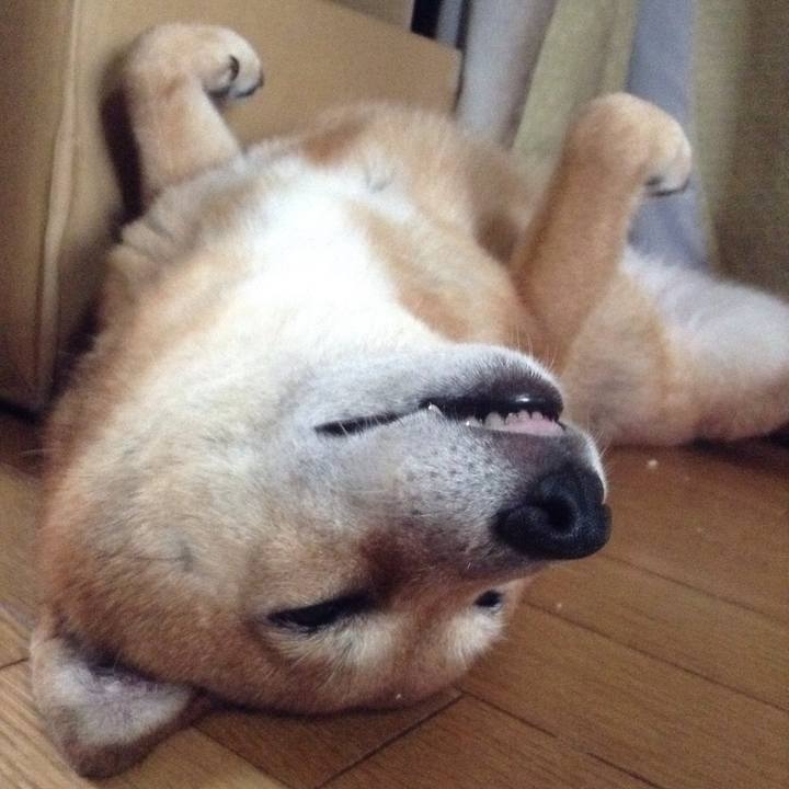 8f912a5b 0e52 4b4f be86 47790fe26cee