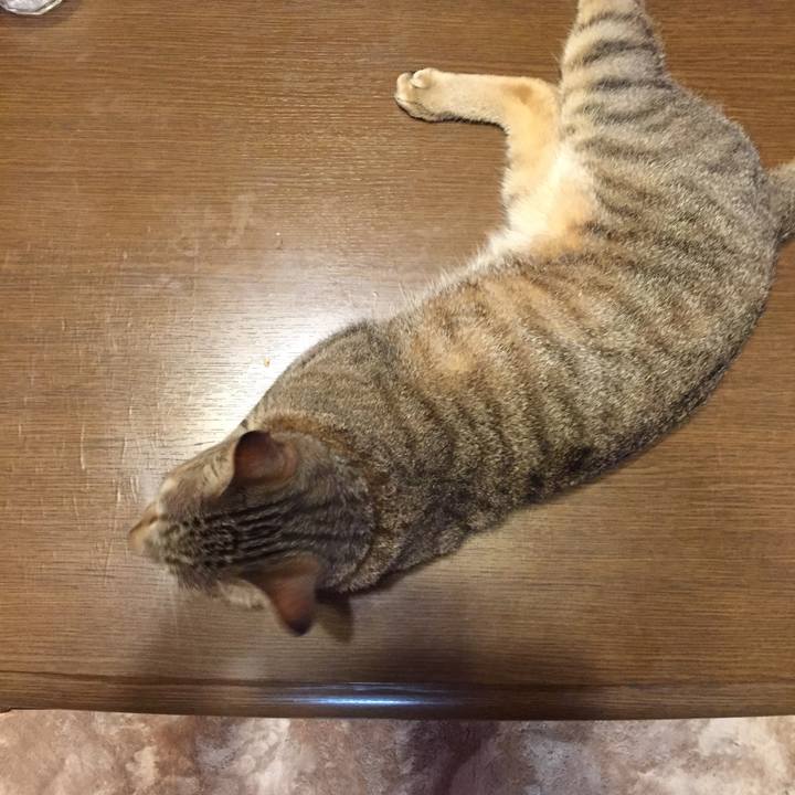 8f913a53 679a 4513 96d0 93622af91eb1