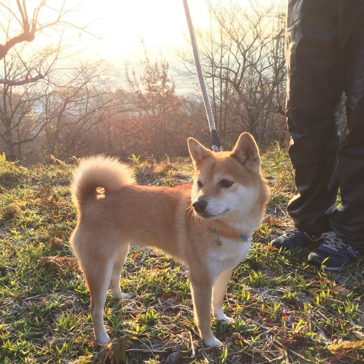 8f917f5e 7f5f 4649 8280 ef7e9edb7ff0