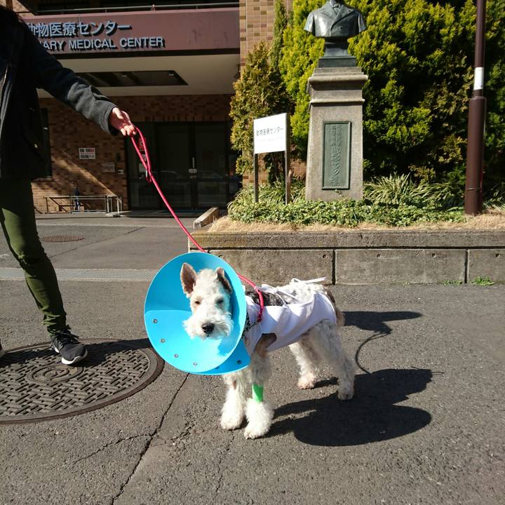 8f91fbf8 0cdc 4940 92d2 a113a0cf6cb6