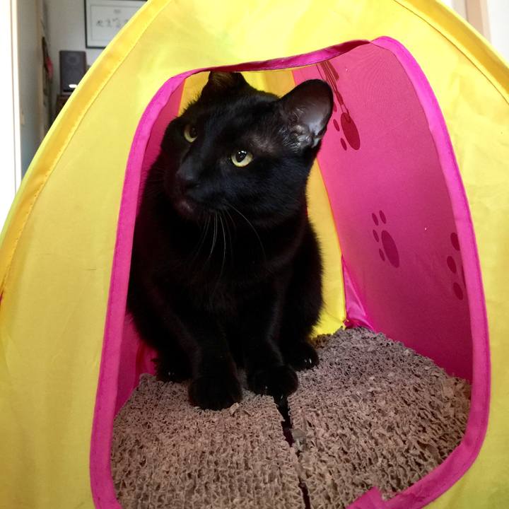 8f922fa2 b460 4526 951d f8f86dab8e03