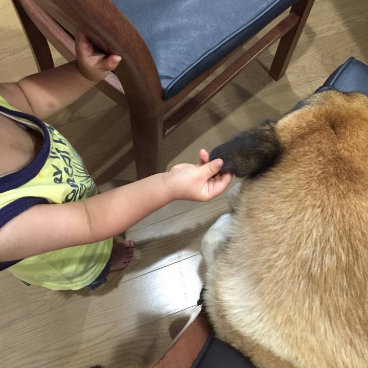 8f9248e1 e01e 42ce b0ea 43f7d228b281