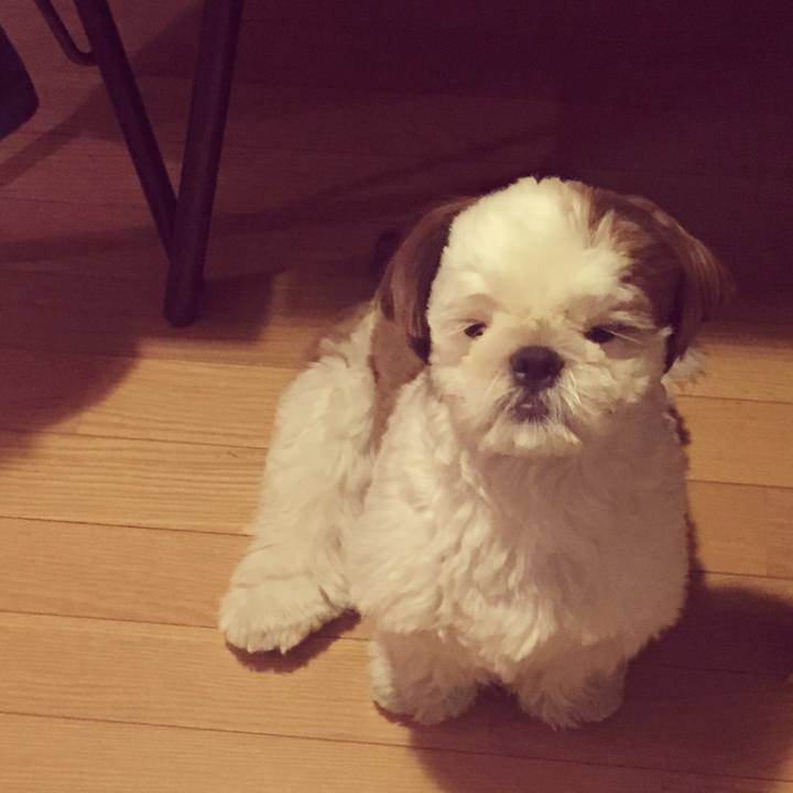 8f928d64 6129 42d9 a9b3 58bc5f978abe