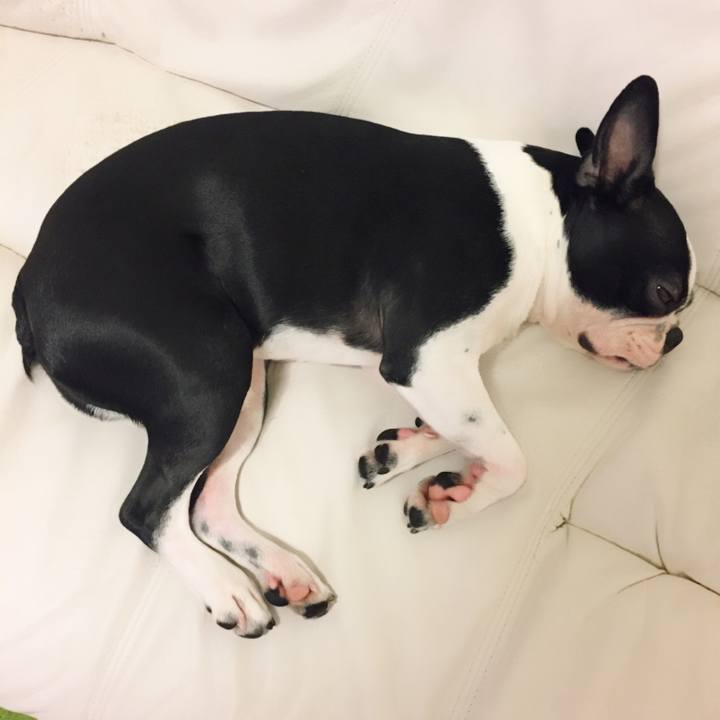 8f929d84 cee2 434f b876 423e14310e18