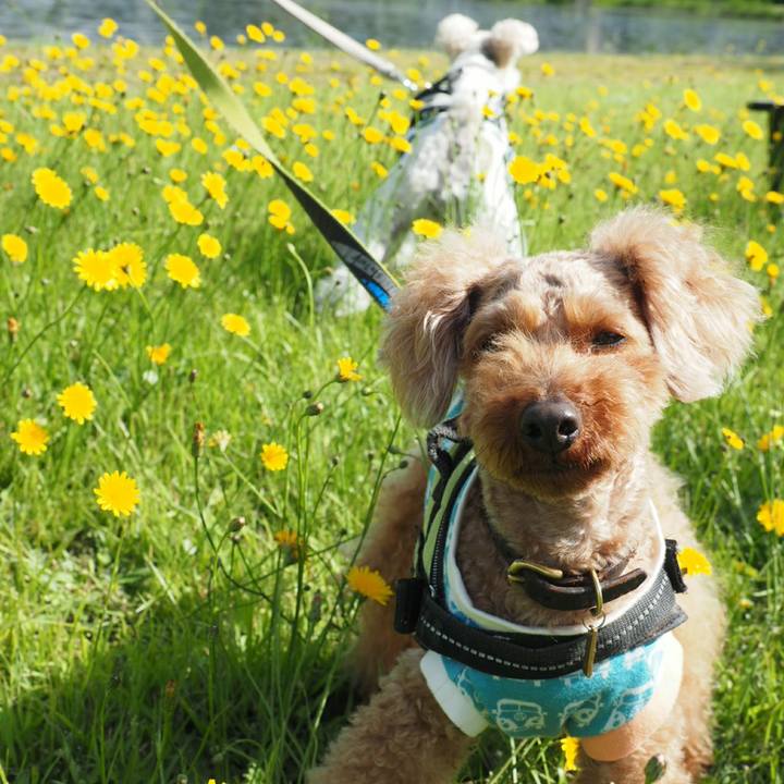 8f92a518 1f40 462c 9994 378191c5f832