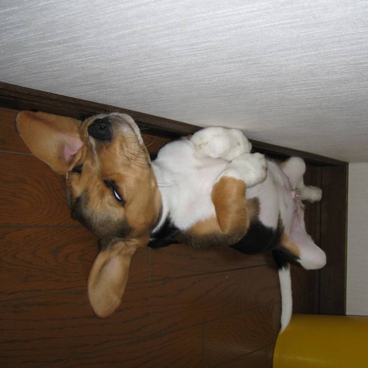 8f93f1e9 d569 4534 931b b756d4fc8aa5