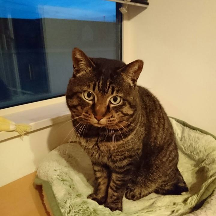 8f94b659 6bf6 4b76 b0a4 be4b99eef982