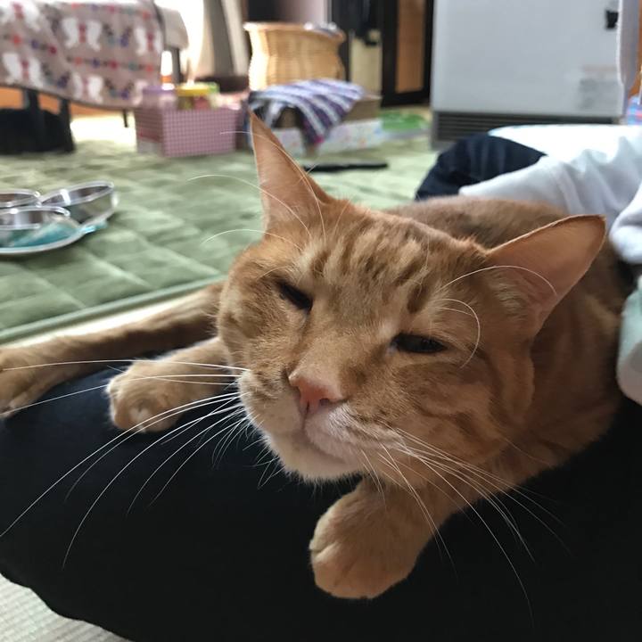 8f94c760 8c95 493f 9a08 08db64e04f94