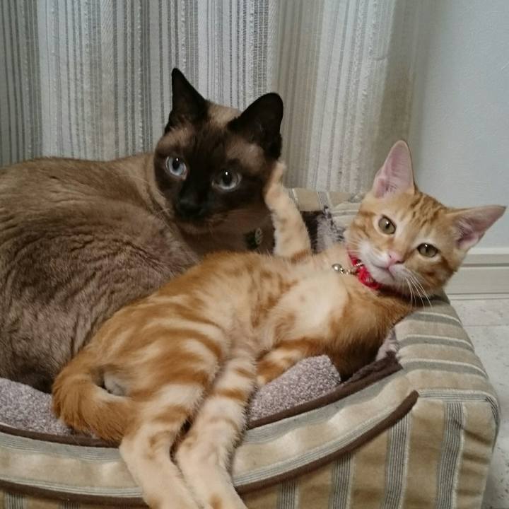 8f95d2a8 3b30 419c 9160 72431a61f149