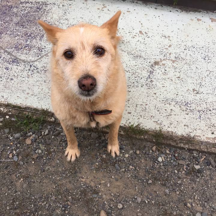 8f95d42e e4e2 4bbd 9cf1 0c10c2fa482c