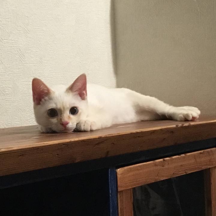 8f9608fc 5a88 4500 ac3c fa439a7a1fa4