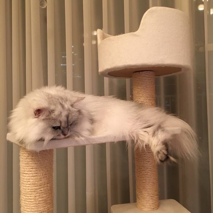 8f96280f 460c 47e1 b2fa 6756d9a781eb