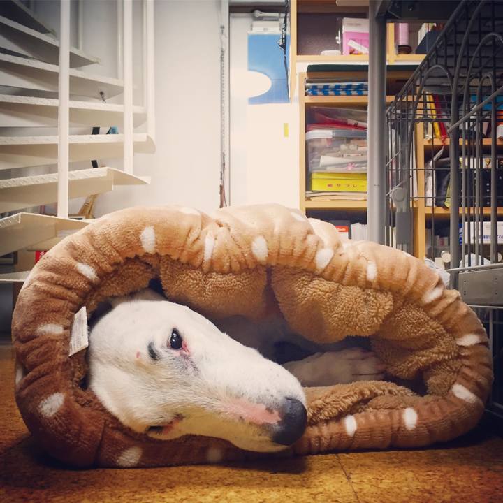 8f965995 e4f8 4062 9681 2b00167751a6