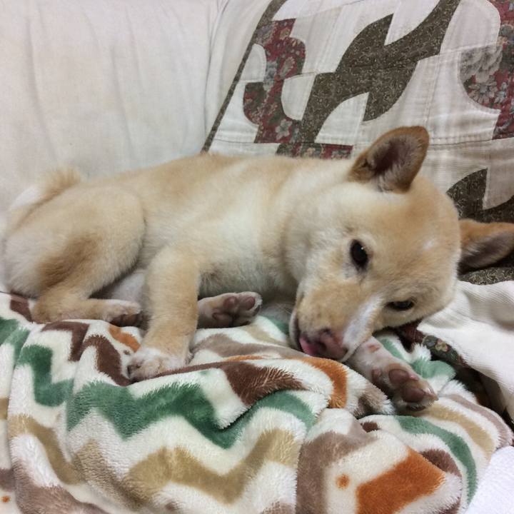 8f9662f0 1f91 4a26 b6d7 03bd92ef703d