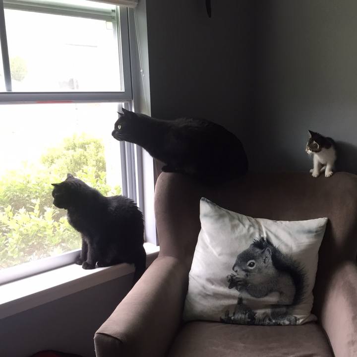 8f977a6b b382 45aa 9af2 a5962293d8e0