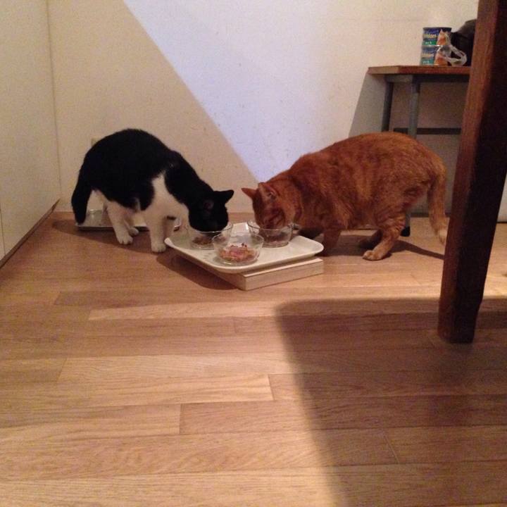 8f978be6 4f57 4c2b 9177 442402ce8ccd