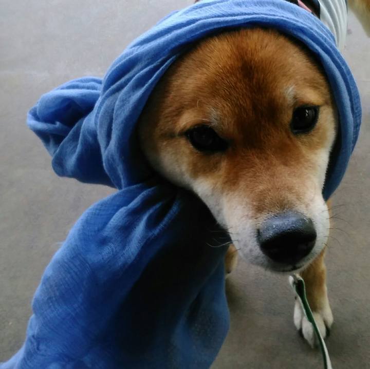 8f97d04a 5032 4982 afd8 c99a39e3e314