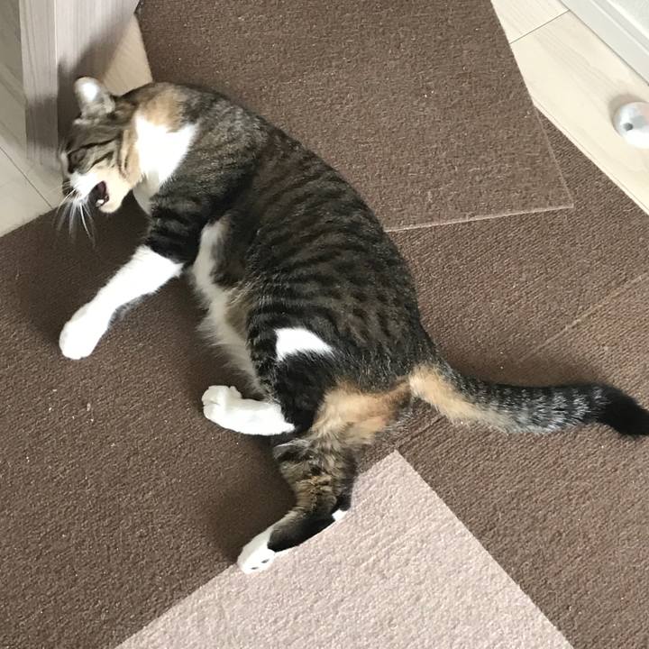 8f97ea5b c696 4216 891b 843f59cc22df