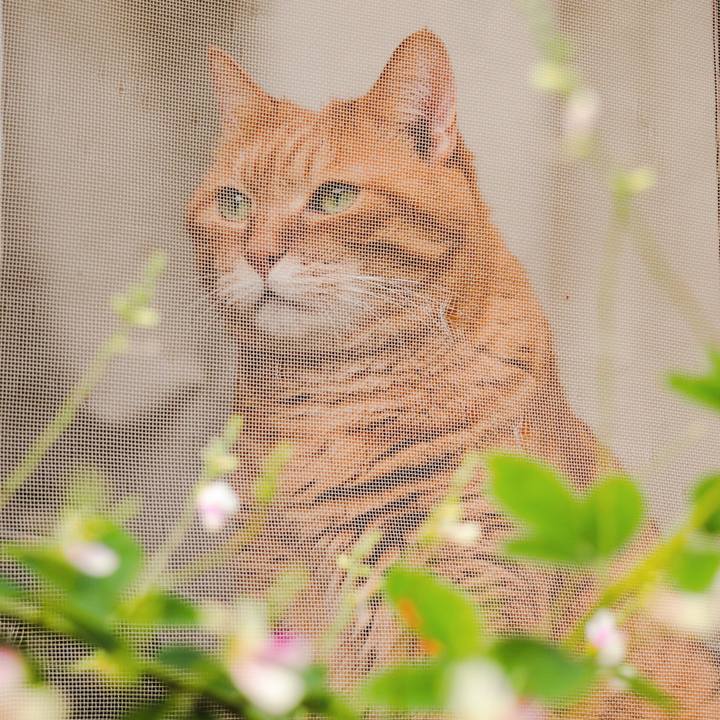 8f9846b3 ec0d 4fb4 915d c41c7823c4df