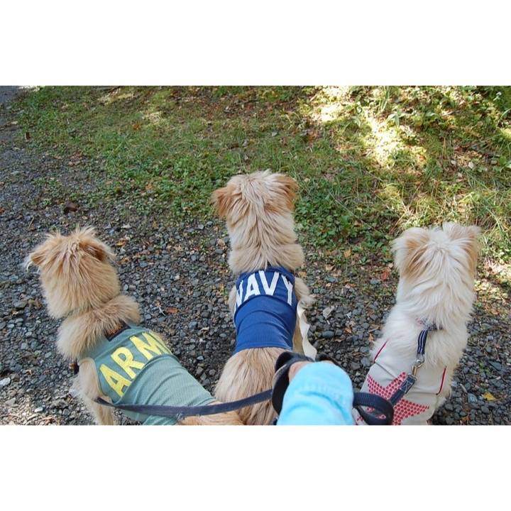 8f99247a 3f1e 479a 932e 8a7046d71fdd