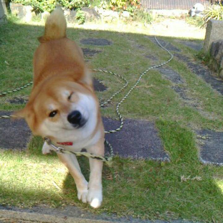 8f99781e 9c10 4be1 b029 63e1c9ac009c