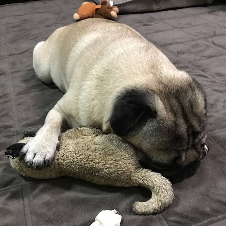 8f9a8cba cc80 4b25 9763 aeb1fba0025c