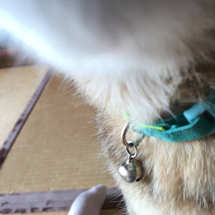 8f9aacdf e07f 4e2f b5a8 00a8958ad26e