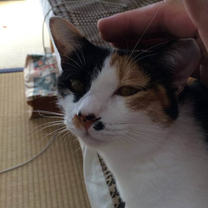 8f9acdc7 e8d2 4ab9 a282 ef9301226935