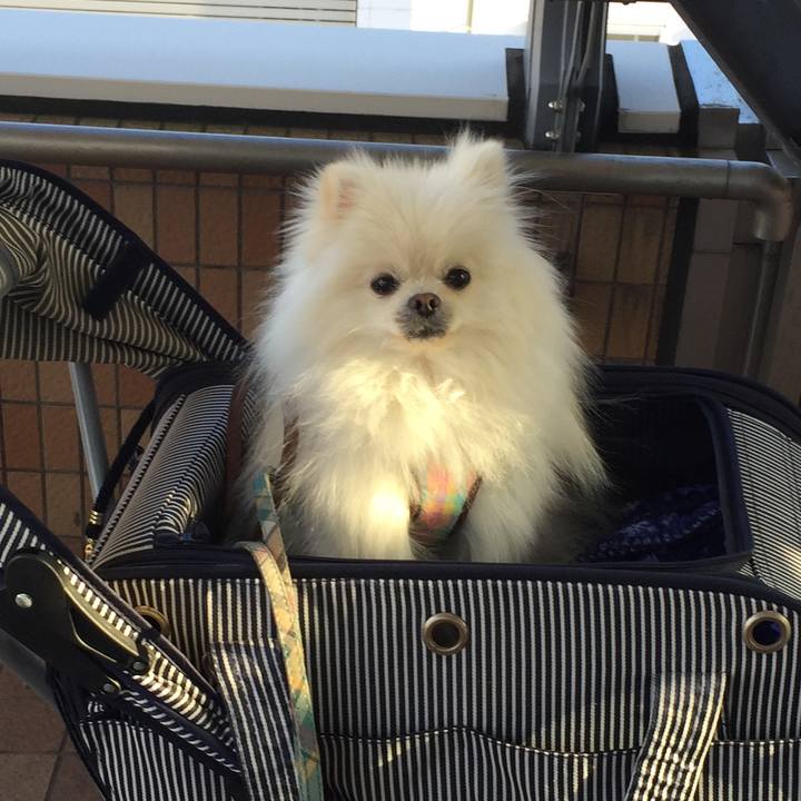 8f9addb5 de8d 4371 97a3 857670b453ee