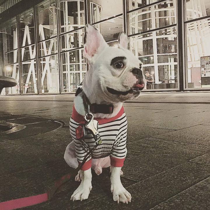 8f9afcff 3d84 45d2 9e3f 667c2a2b6998