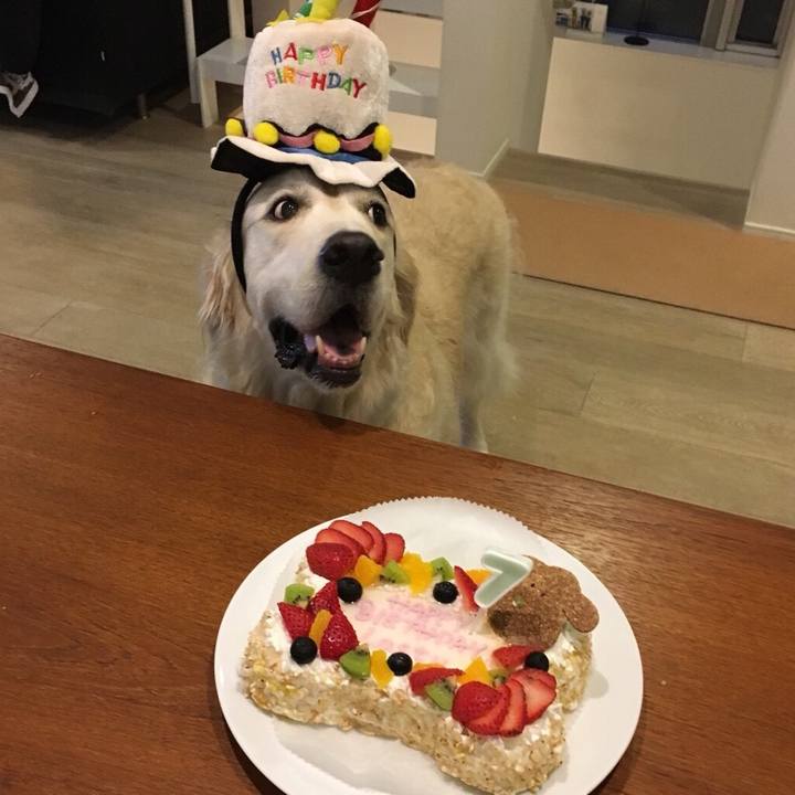 8f9b6282 9413 4dff 92a7 11af64321f8f