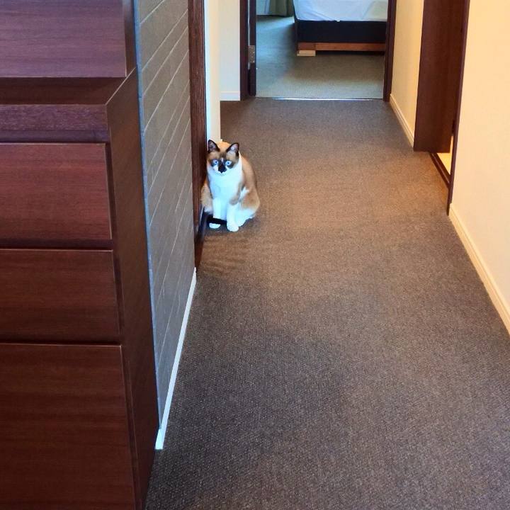 8f9b9255 6b5f 4d81 9a01 c9db3d8d359a