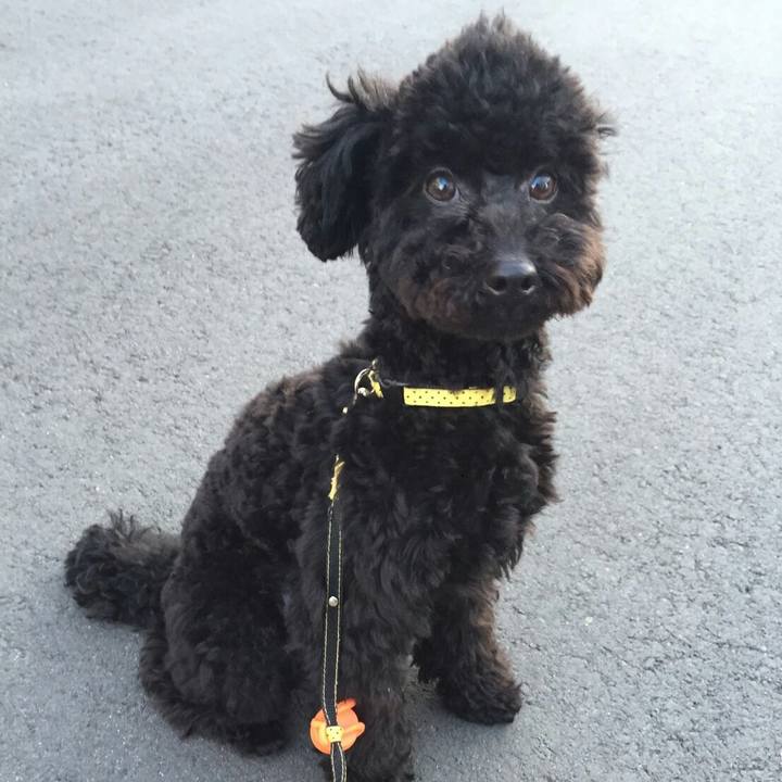 8f9ba21d 22a7 4a47 a304 4f4cca3cd4bc