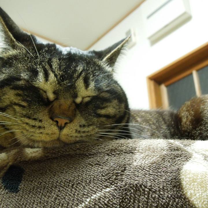 8f9badab d17a 4dce bc3b 909eea51a2f6