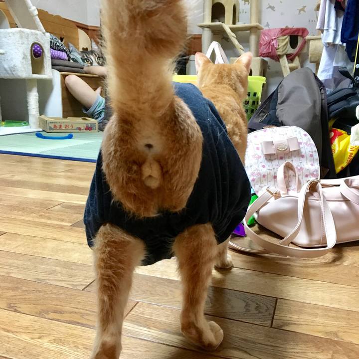 8f9bdfc0 f613 4a50 9ef0 db14457d79ba