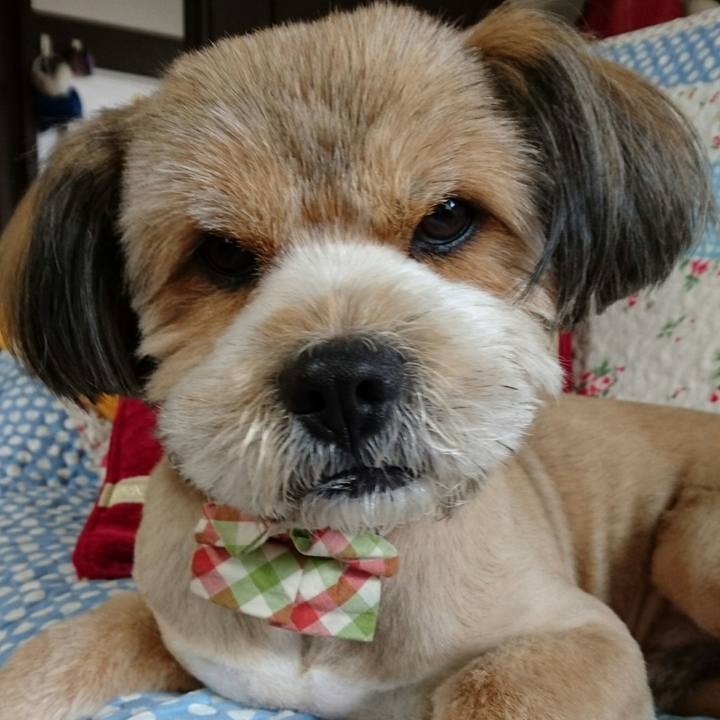 8f9c076c 958b 4923 9db6 e4f194045152