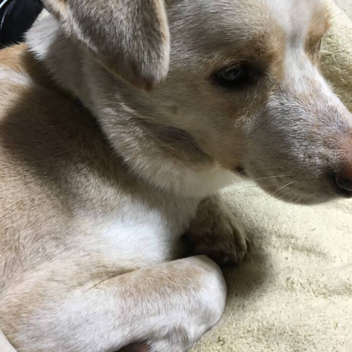 8f9c0867 ebd7 4292 869a 21dea9a1d9e4