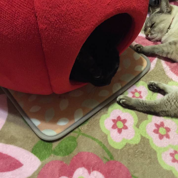 8f9c80e9 296b 412b a082 1d88e340ed52