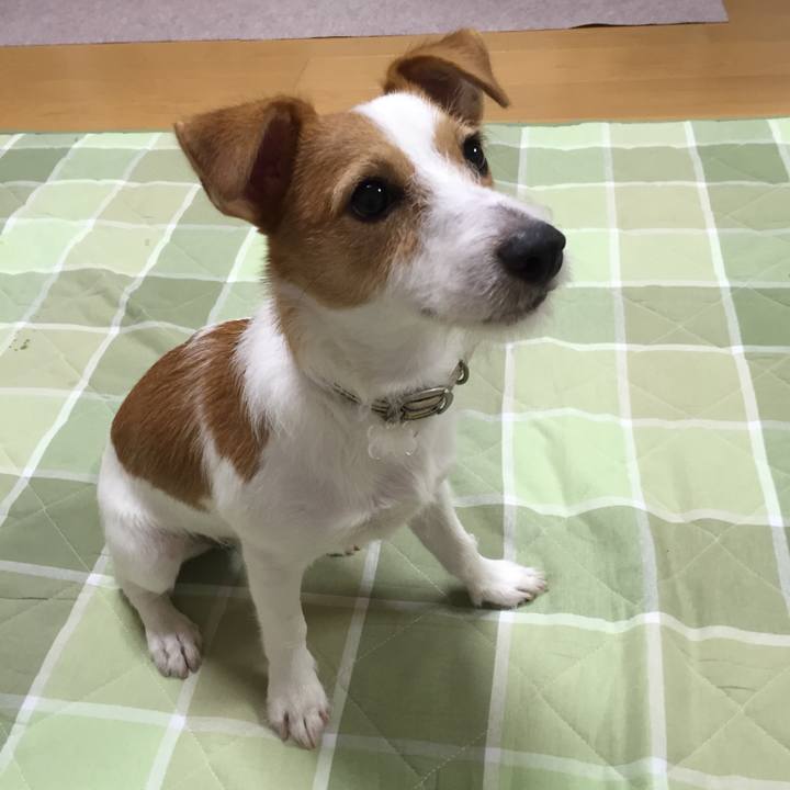 8f9d06ce 0dea 4659 9a27 9a6b6e319d6c