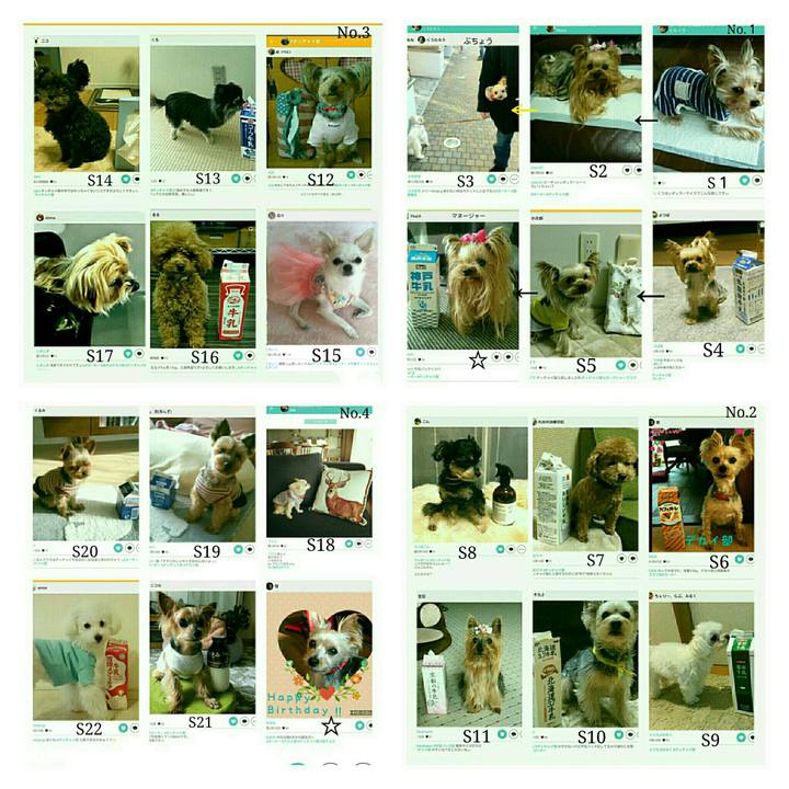 8f9d0af5 42d7 4376 b386 6ca970f00ee9