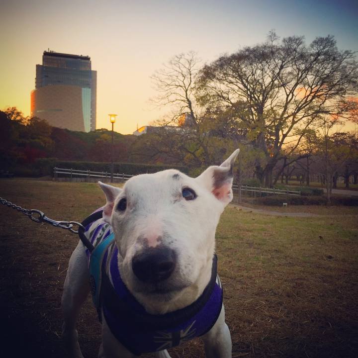 8f9d1768 2992 4a6b 8084 68667f0b1957