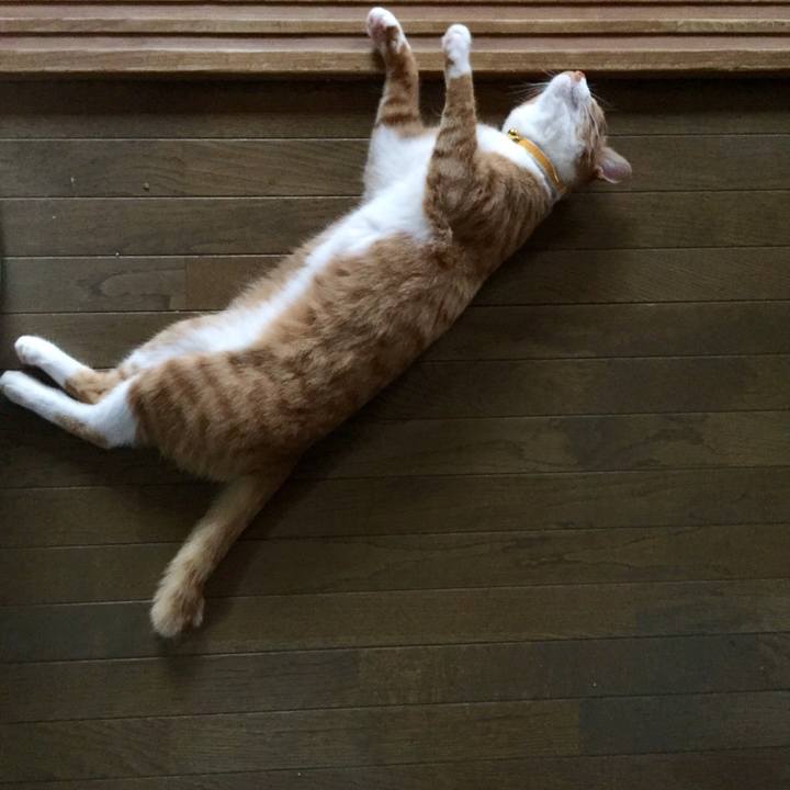 8f9d8ab0 4a79 4bd3 9c3e be6758137e21