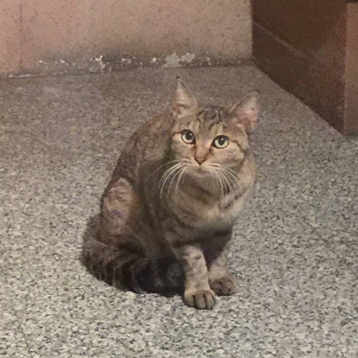 8f9d9e0c 28f2 4825 9372 afcad1bdd19b