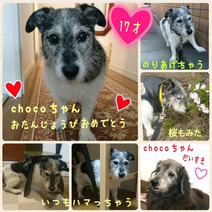 8f9dca01 2f09 45a1 8892 1db2f718d209